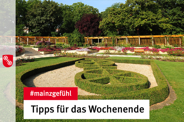 Der schöne Rosengarten im Stadtpark. © Landeshauptstadt Mainz