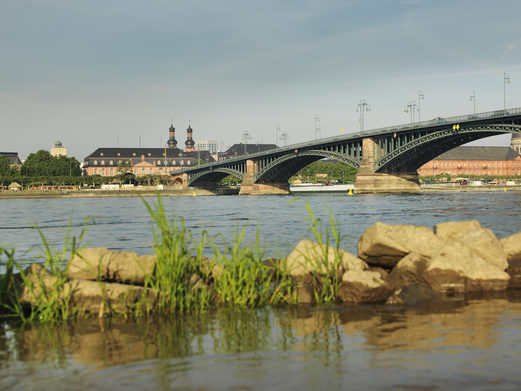 Zurück geht der Spaziergang über die Theodor-Heus-Brücke