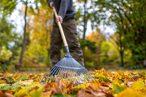 Im Vordergrund ein Rechen, mit dem jemand Herbstlaub recht. © AdobeStock Stefan Werner