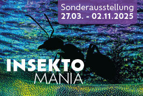 Visual für die Ausstellung Insekten © nhm