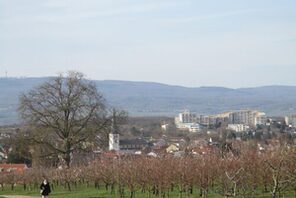 Blick auf Mainz-Finthen © Landeshauptstadt Mainz