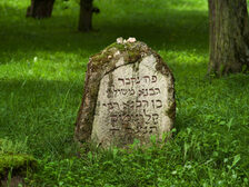 Jüdischer Friedhof Mainz