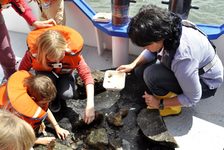 Bildergalerie Stadt der Wissenschaft 2011 Kinder untersuchen Gestein auf der MS Burgund Neben den dauerhaften Ausstellungen luden zahlreiche Veranstaltungen rund um "zeit.fenster. Vergangenheit hat Zukunft" kleine und große Forscher ein. Beispielsweise konnten im Sommer in Kooperation mit dem Ministerium für Umwelt, Landwirtschaft, Ernährung, Weinbau und Forsten auch einige Erkundungsfahrten mit der MS Burgund angeboten werden.