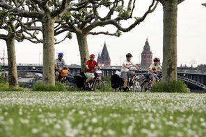 Eine Familie radelt am Rheinufer, im Hintergrund der Dom © Landeshauptstadt Mainz