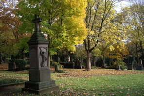 Bäume auf dem Mainzer Hauptfriedhof © Landeshauptstadt Mainz