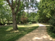 Parkweg der Wallgrünanlagen