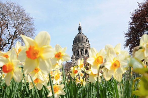 Frühling vor der Christuskirche