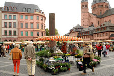 Über den Marktständen trohnt der Dom