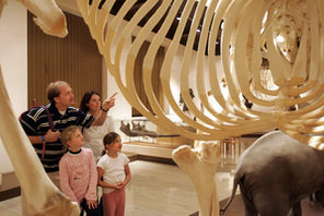 Besucher im Naturhistorischen Museum Mainz © Landeshauptstadt Mainz