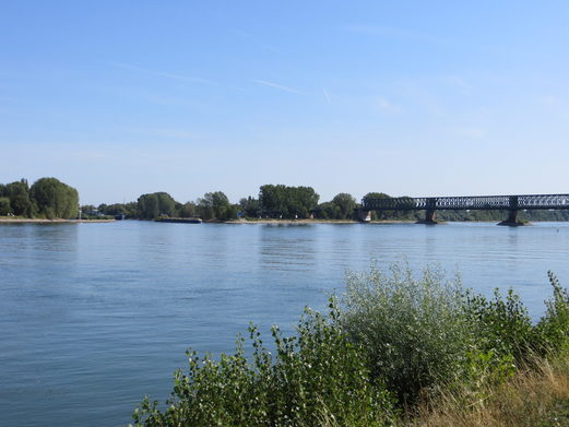 Mainspitze und Eisenbahnbrücke