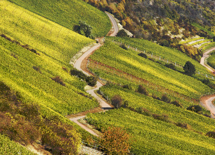 Roter Hang in Nierstein