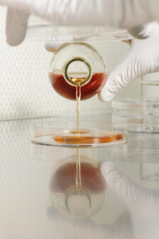 Eingang der Universitätsmedizin