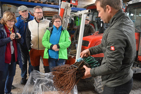 Gruppe Winzer für ein Jahr