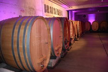 Weinfässer im Weingut Braunewell