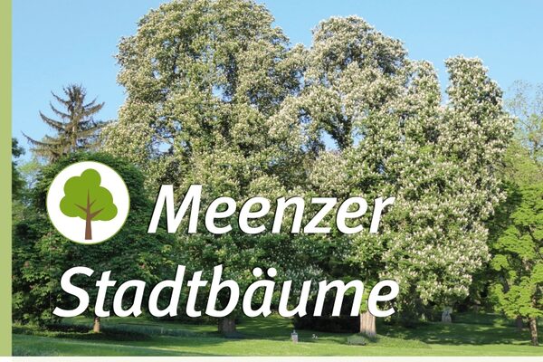 Titelbild: Bäume im Stadtpark © Landeshauptstadt Mainz